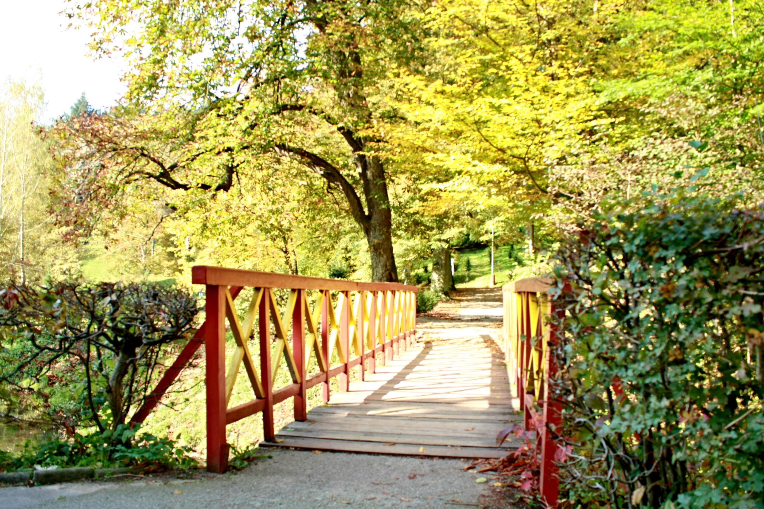 Hotel Vega - Luhačovice